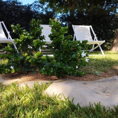 Zona relax all’ombra nel giardino mediterraneo di Villa Agapanthus, con sdraio bianche immerse tra alberi e piante profumate