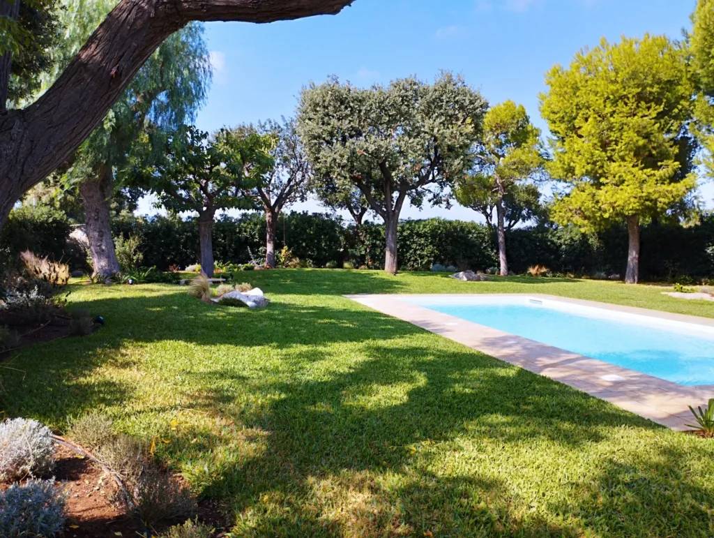 Piscina immersa in un ampio giardino con prato inglese e alberi mediterranei, nella villa di lusso Villa Agapanthus a Monopoli.