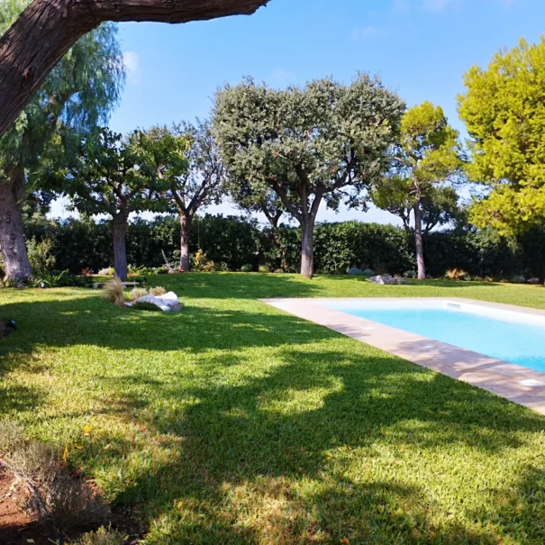 Piscina immersa in un ampio giardino con prato inglese e alberi mediterranei, nella villa di lusso Villa Agapanthus a Monopoli.
