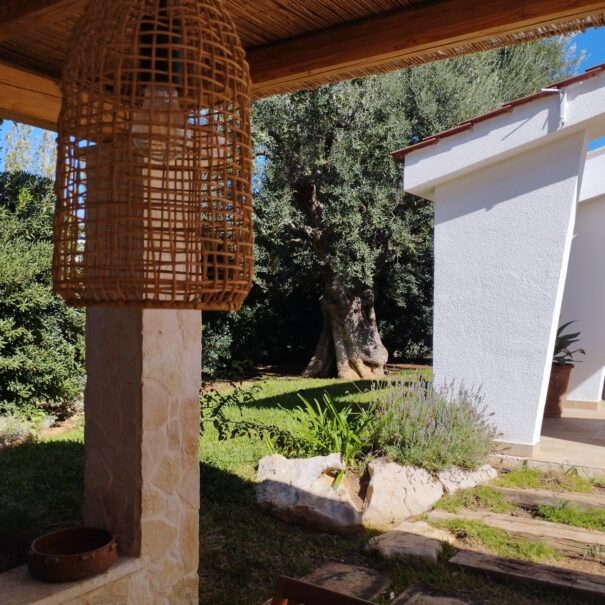 Lampade artigianali in giunco e scorcio sull’ulivo secolare dal patio coperto di Villa Agapanthus a Monopoli.
