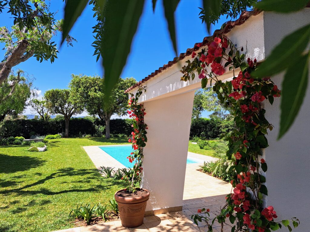Giardino mediterraneo con piscina privata a Villa Agapanthus, Monopoli