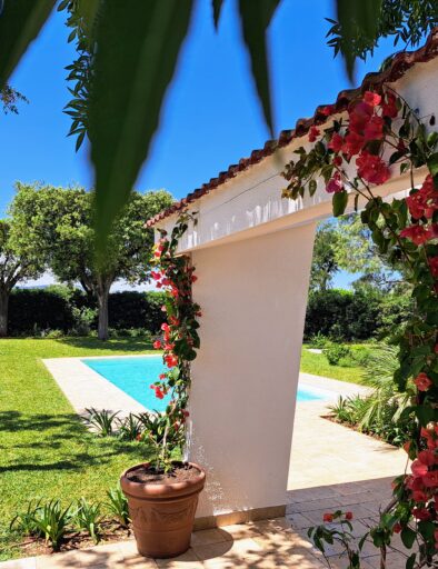Giardino mediterraneo con piscina privata a Villa Agapanthus, Monopoli