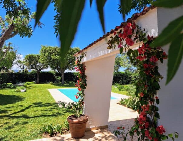 Mediterranean garden and private pool at Villa Agapanthus in Monopoli