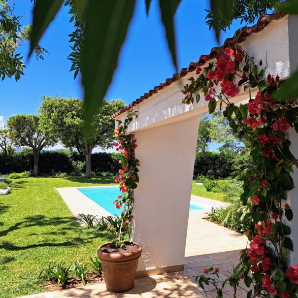 Giardino mediterraneo con piscina privata a Villa Agapanthus, Monopoli
